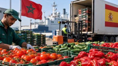 المغرب-يتصدر-موردي-إسبانيا-من-الخضر-والفواكه-بقيمة-تقارب-مليار-يورو