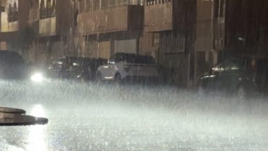 ضمنها-الناظور.-مقاييس-التساقطات-المطرية-بالمملكة-خلال-الـ-24-ساعة-الماضية