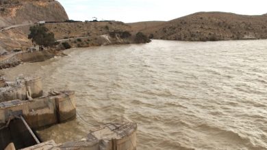 أمطار-الجنوب-الشرقي-تنعش-السدود-الوطنية-بحمولة-قياسية-تجاوزت-49-مليون-متر-مكعب-في-24-ساعة