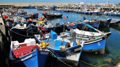 منهيو-الصيد-بميناء-بني-أنصار-يؤجلون-وقفة-بعد-اجتماع-لهم-بعمالة-الناظور