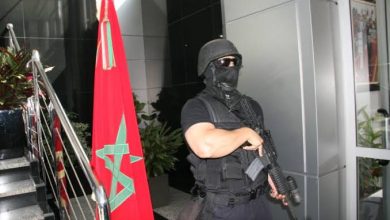 بمشاركة-المغرب.-العملية-الدولية-“مواجهة-الشبح”-تطيح-بشبكات-احتيال-رقمي-عابرة-للحدود