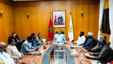 استقبال-وفد-رفيع-المستوى-من-جمهورية-الصومال-الفيدرالية-بجهة-الداخلة-–-وادي-الذهب