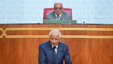 طعن-أمام-المحكمة-الدستورية-يطالب-بإلغاء-انتخاب-عرشان-نائبا-برلماني