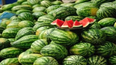صادرات-البطيخ-الأحمر.-المغرب-يحتفظ-بصدارة-المزودين-لإسبانيا