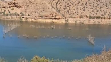 اتهامات-جزائرية-للمغرب-بتلويث-المياه-والأراضي-الزراعية