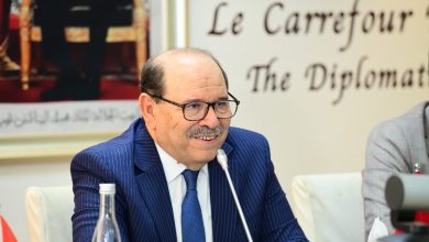 بوصوف-يكتب:-الدولة-العلوية-والريف:-من-ترسيخ-الشرعية-إلى-رهانات-التنمية
