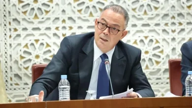 لقجع-:-الحكومة-ستعمل-على-حذف-بعض-متغيرات-مؤشر-الدعم-الاجتماعي-في-أفق-اعتماد-المداخيل-وحدها